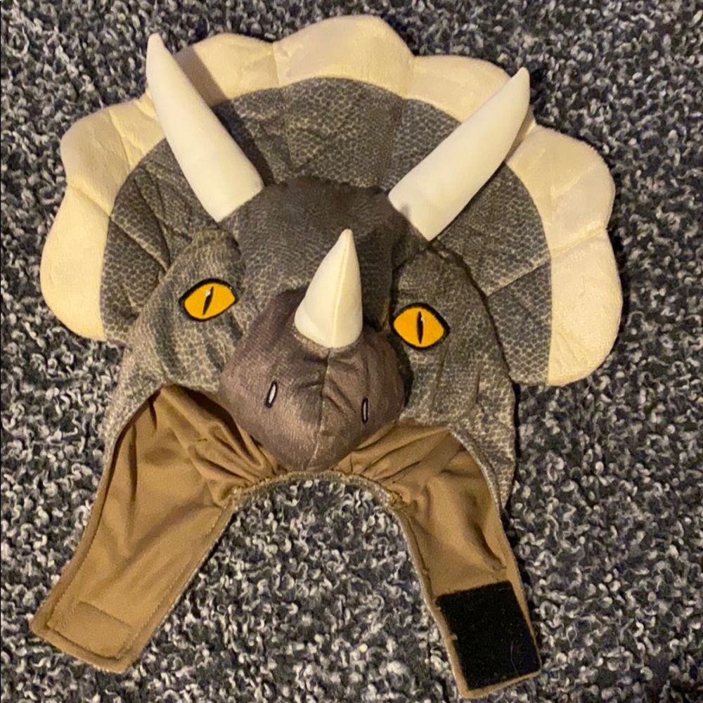 Triceratops Halloween costume